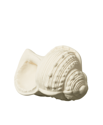 Concha Scallop Shell
