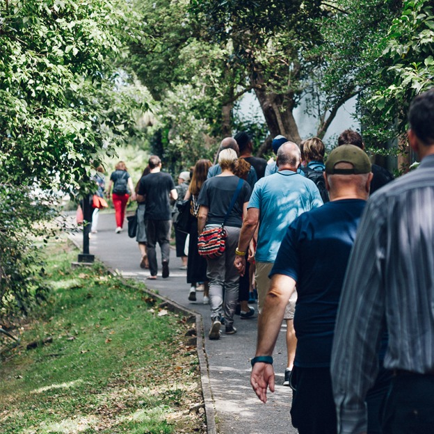 sustainable business: a walk in grey lynn